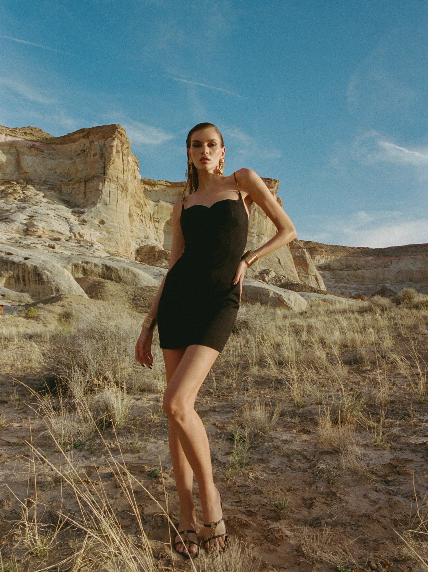 Sabrina Mini Dress (Final Sale)