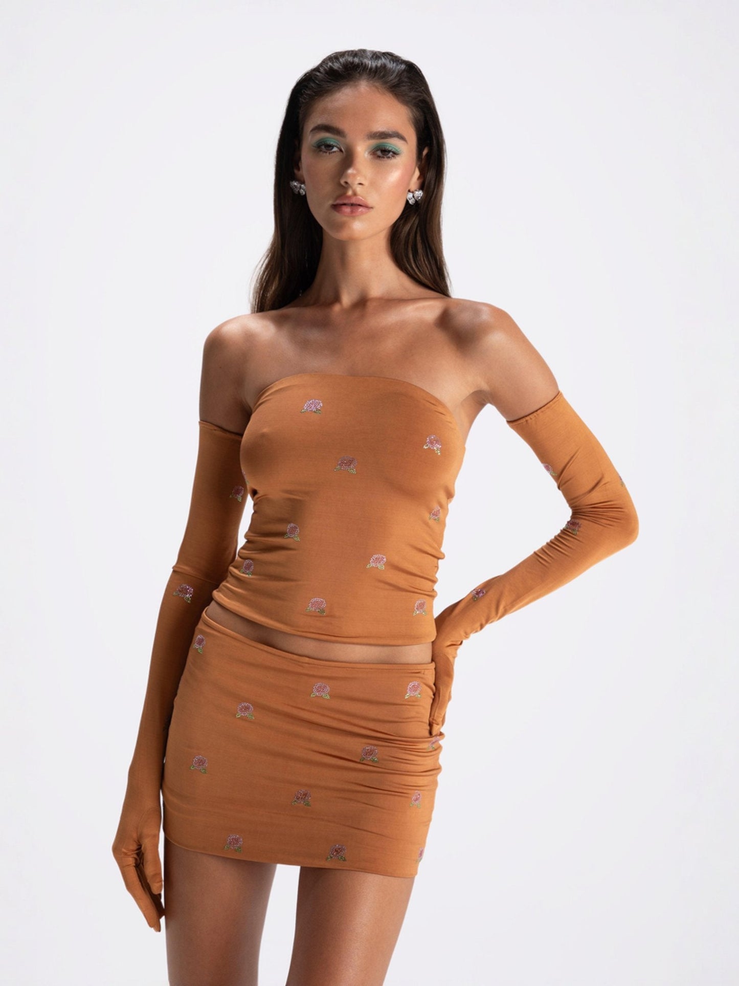 Rosana Embroidered Top (Brown) (Final Sale)