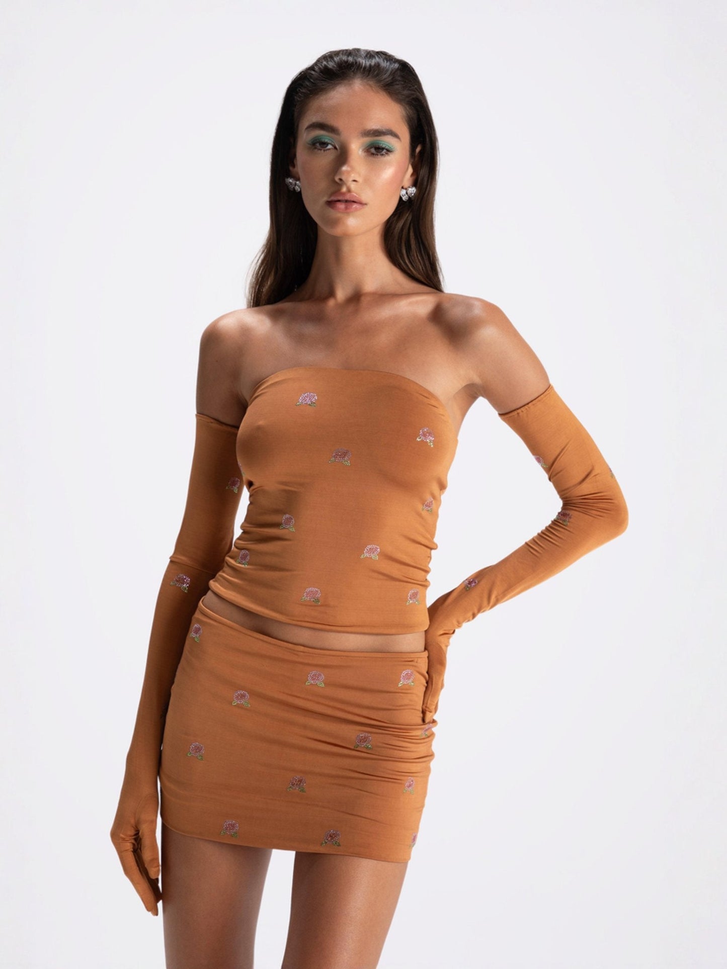 Rosana Embroidered Skirt (Brown) (Final Sale)